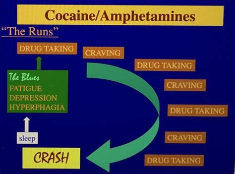 substance abuse quizlet